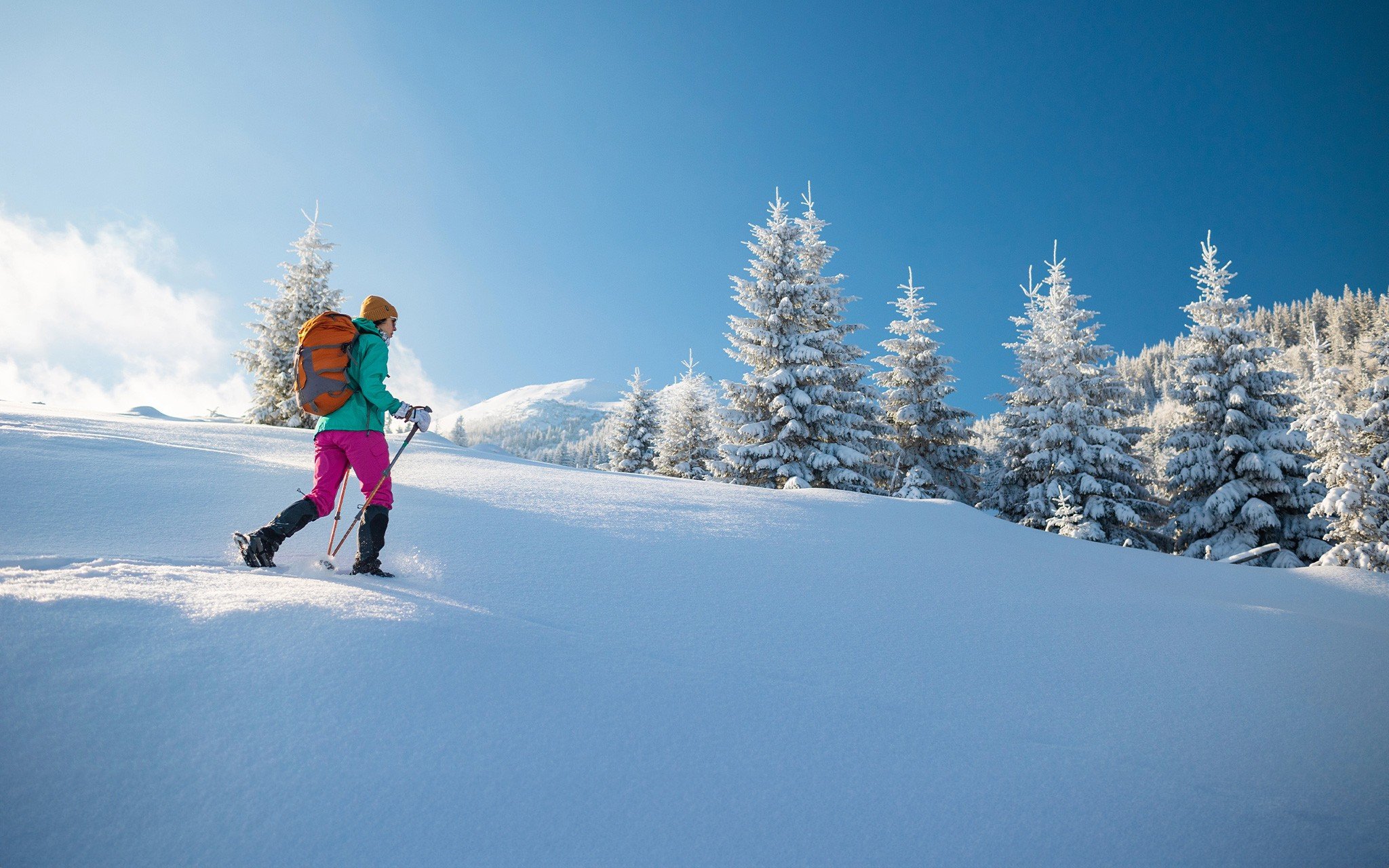 Chalet Loredana Livigno